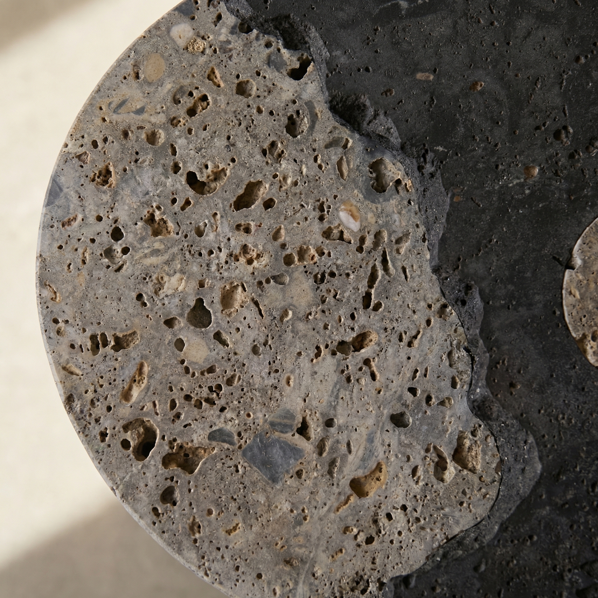 Marble veining detail