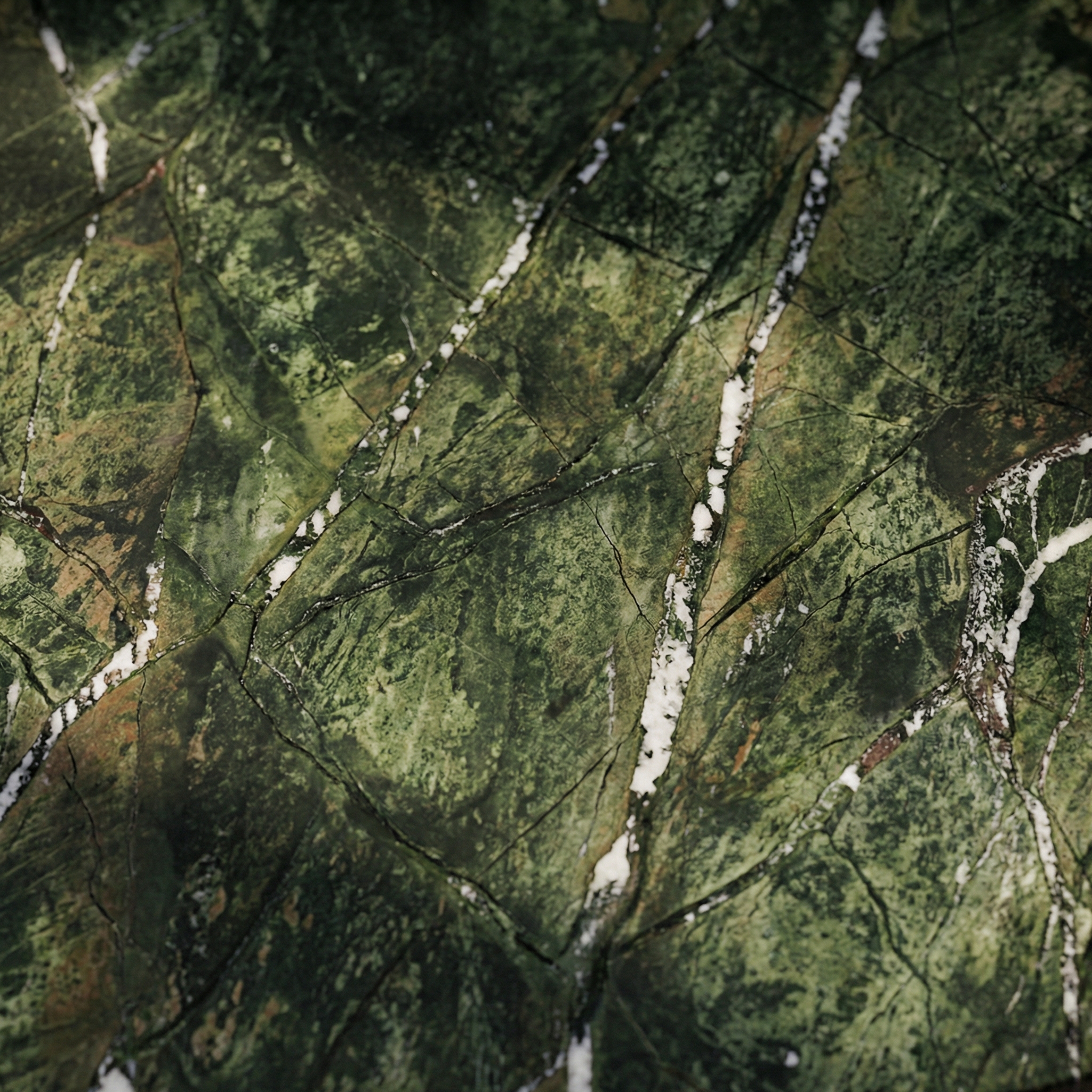 Marble veining detail