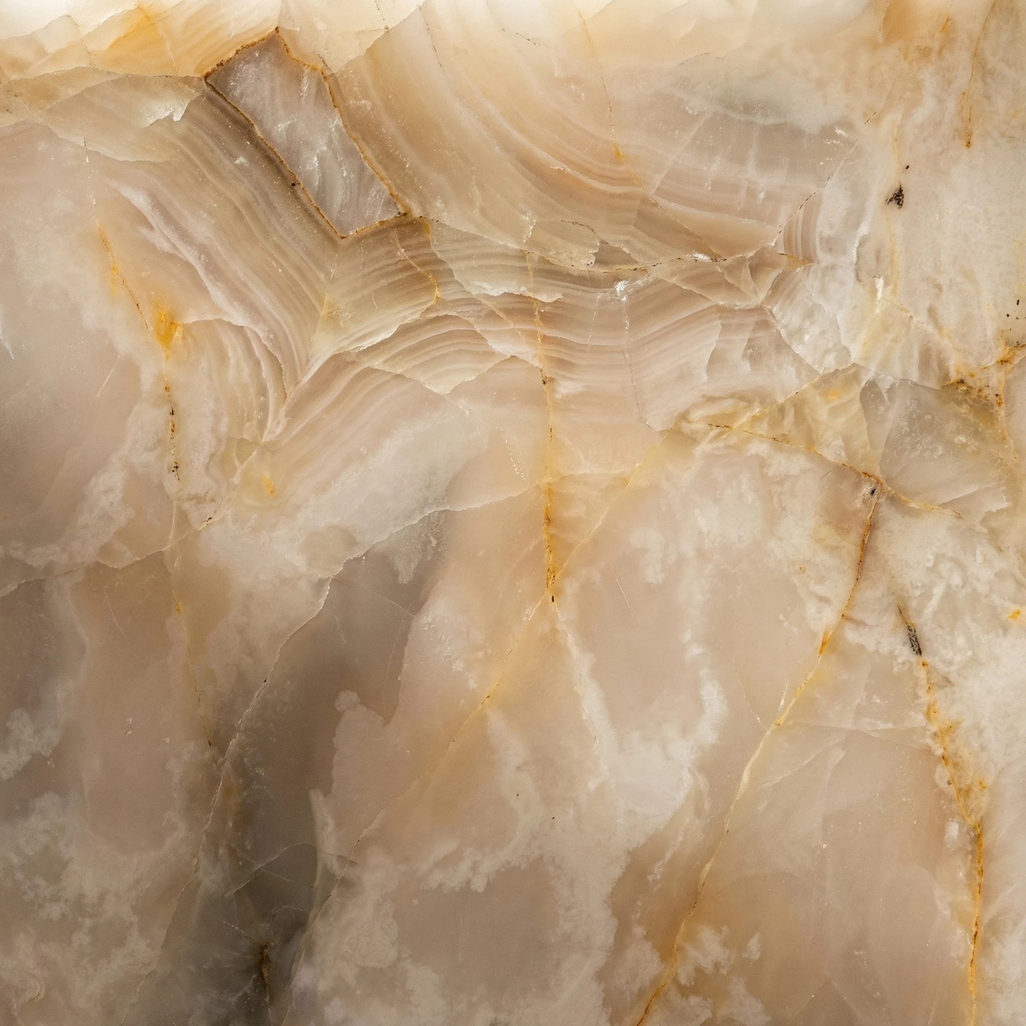 Calacatta Oro gold veining close-up